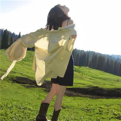 兰闺飞凤